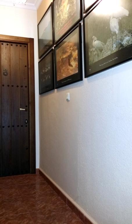 Castor Y Polux Apartment เอลกัสตอร์ ภายนอก รูปภาพ